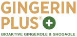 Gingerin PLUS